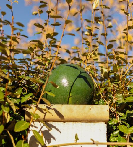 WhatsApp Image 2025-07-24 at 15.07.26 (5)