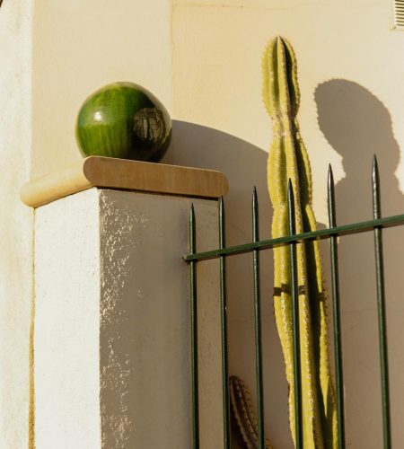 WhatsApp Image 2025-07-24 at 15.07.26 (6)