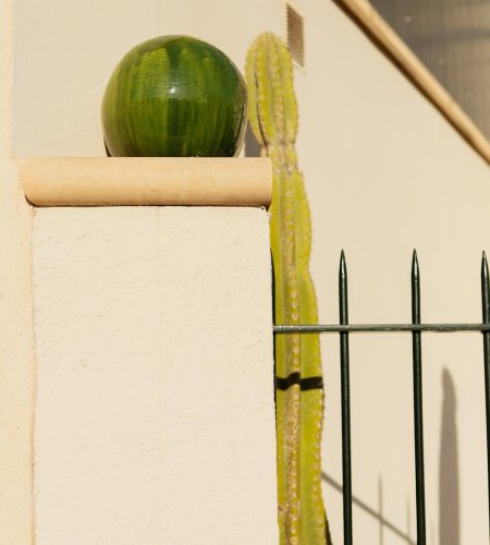 WhatsApp Image 2025-07-24 at 15.07.26