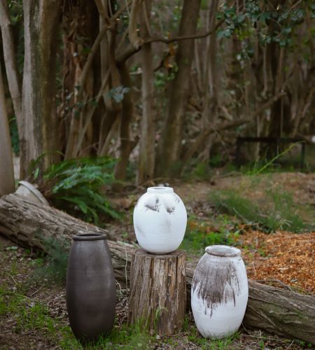 WhatsApp Image 2026-03-12 at 12.50.04