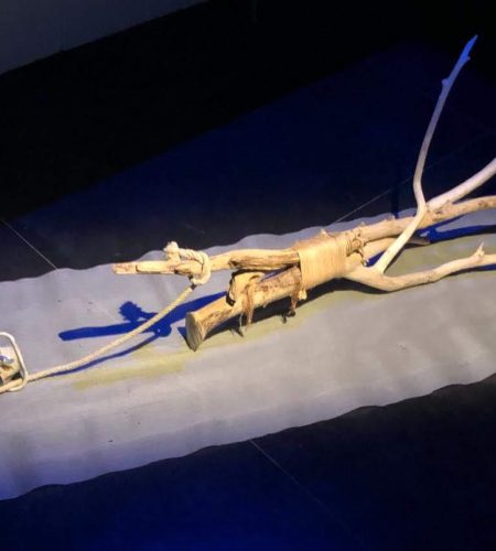 WhatsApp Image 2026-03-27 at 11.33.41